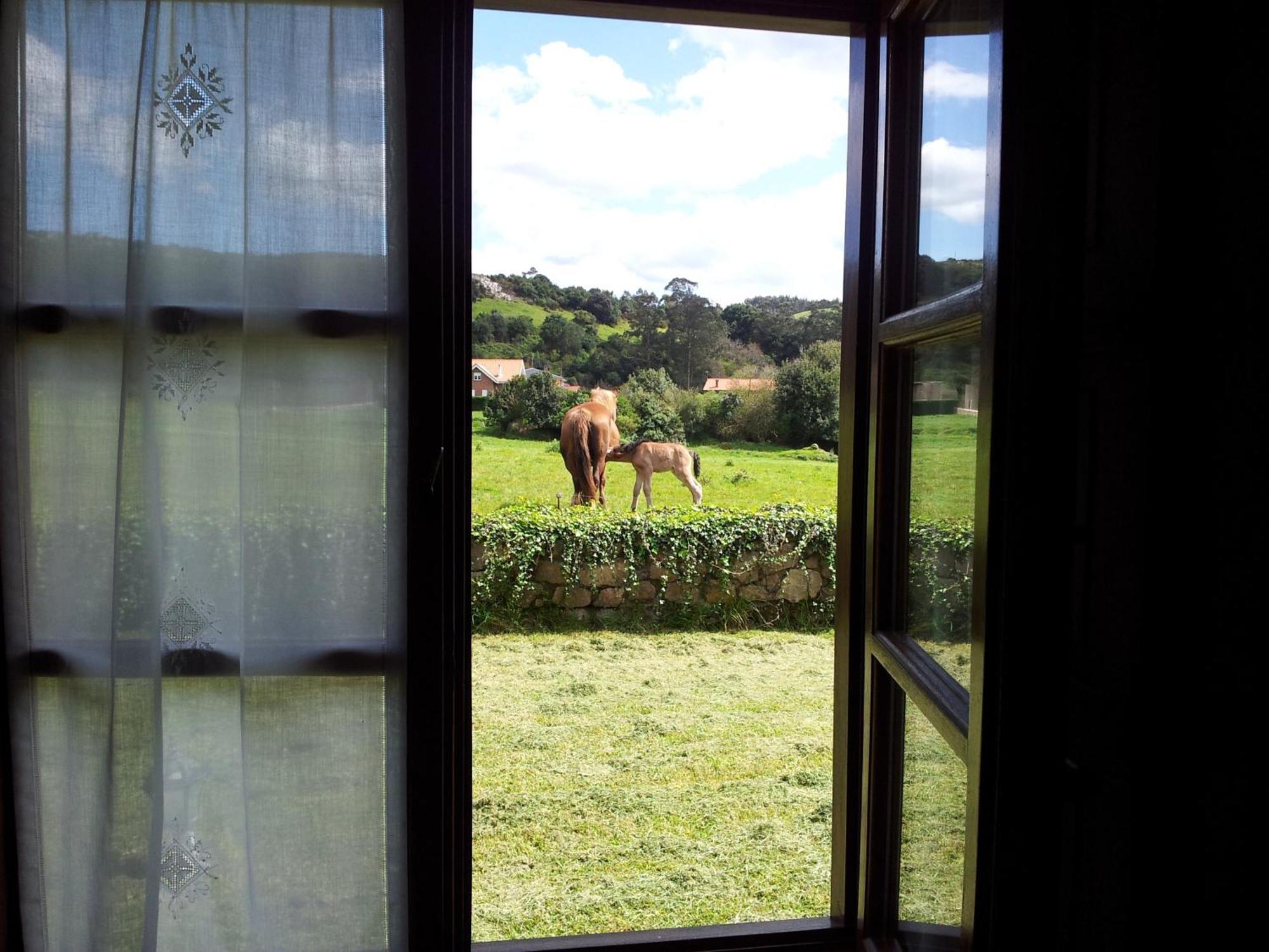Posada La Roblera Affittacamere Orena Esterno foto