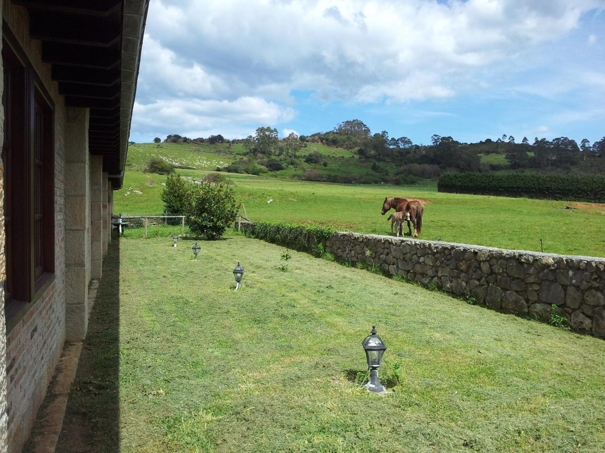 Posada La Roblera Affittacamere Orena Esterno foto