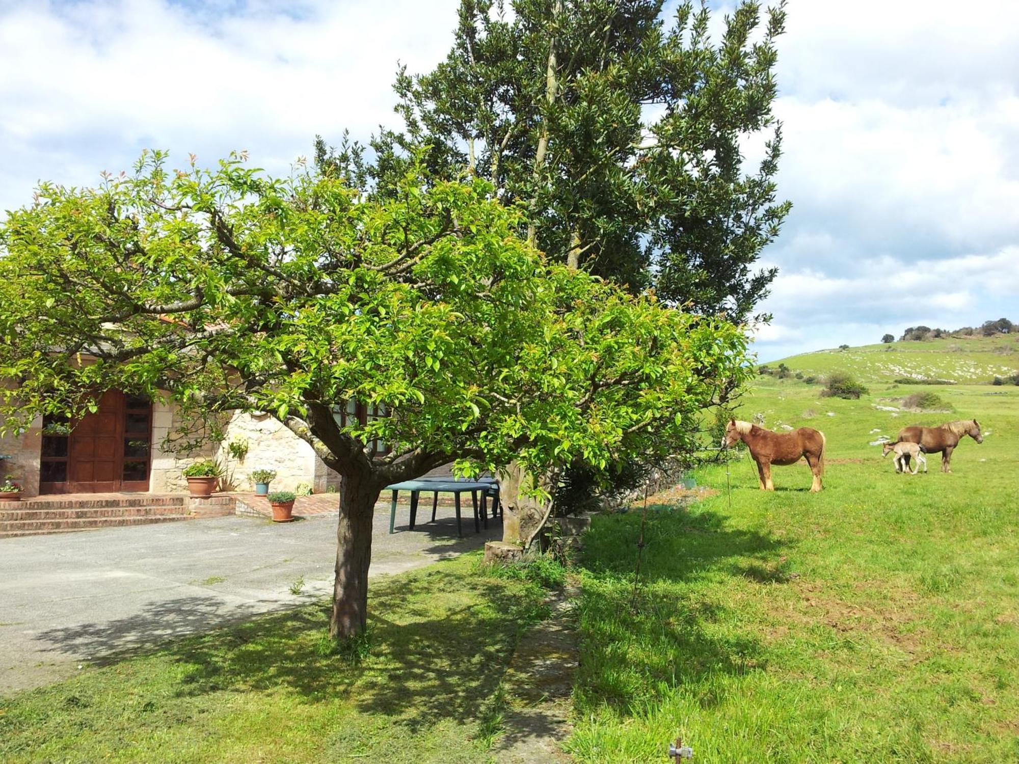 Posada La Roblera Affittacamere Orena Esterno foto
