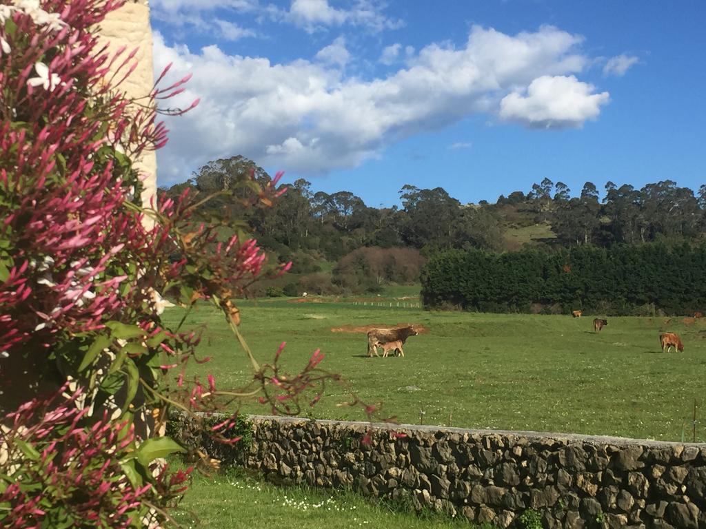 Posada La Roblera Affittacamere Orena Esterno foto